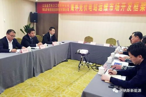 萨纳斯与庞沃电力强强联合 开启海外新能源技术服务新篇章