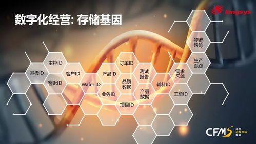 从产品到品牌 江波龙存储技术服务的升级之路